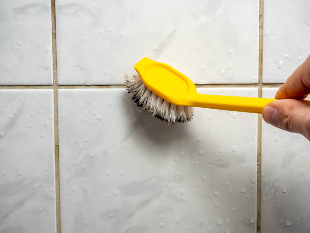 Best Residential Mold Removal  in Blackstone, VA