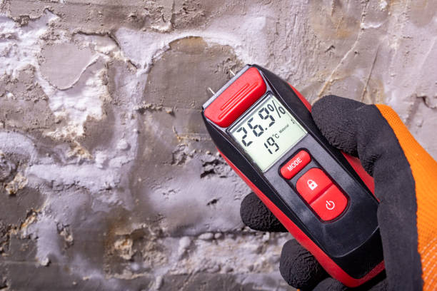 Best Crawl Space Mold Removal  in Blackstone, VA