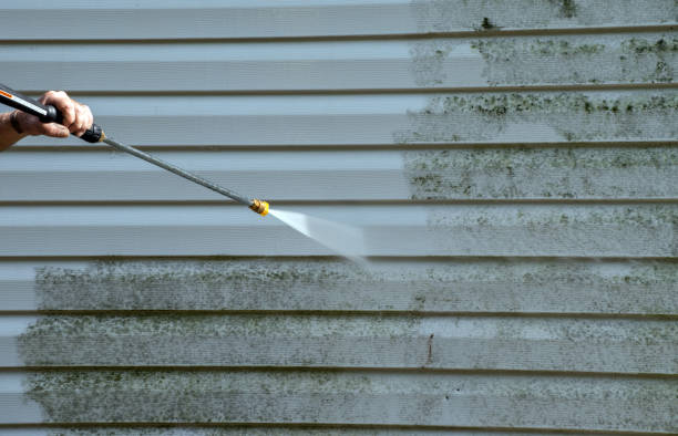 Best Mold Testing and Removal  in Blackstone, VA