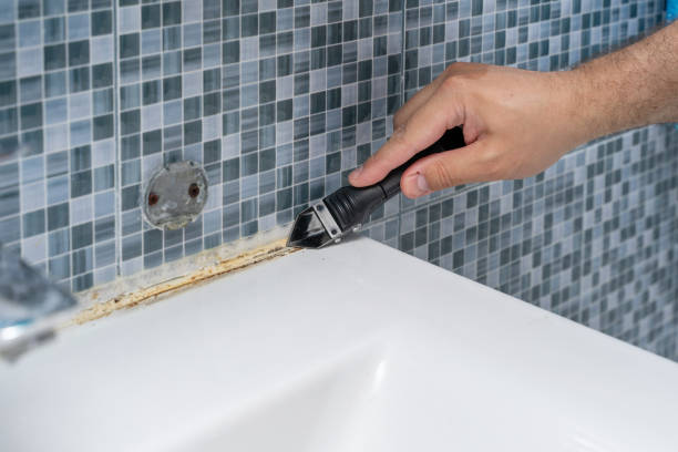 Blackstone, VA Mold Removal Company