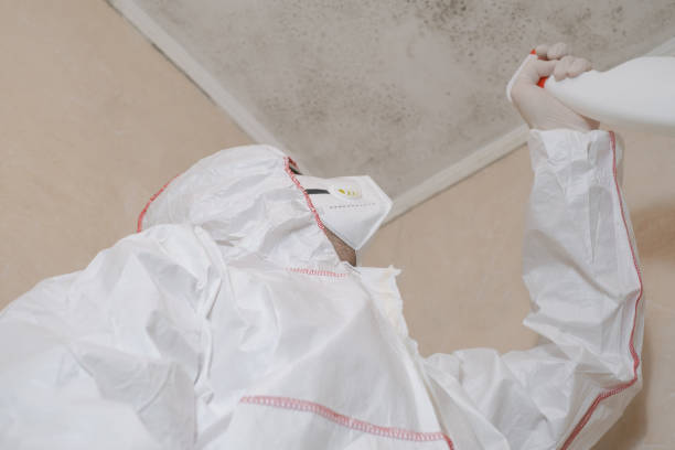 Best Mold Cleaning Services  in Blackstone, VA