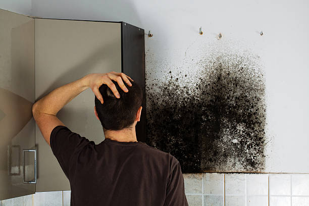 Best Local Mold Removal Service  in Blackstone, VA